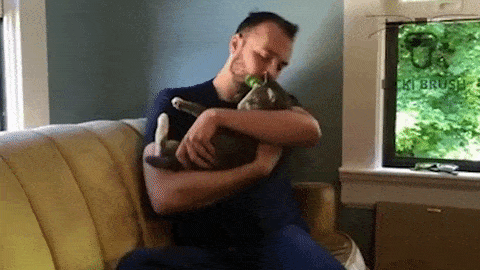 cat-licking-device1.gif