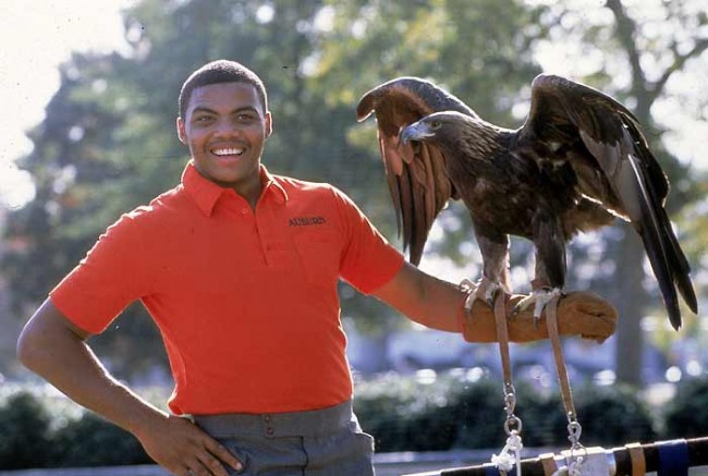 7275-barkley-war-eagle.jpg