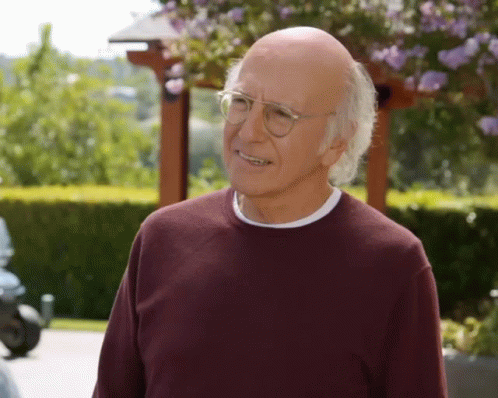 reasonsimbroke-larry-david-281-29.gif