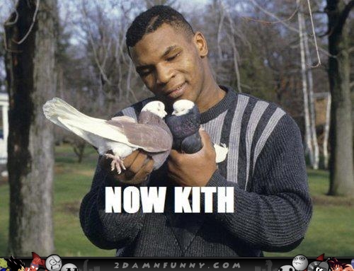 kith_533490.jpg