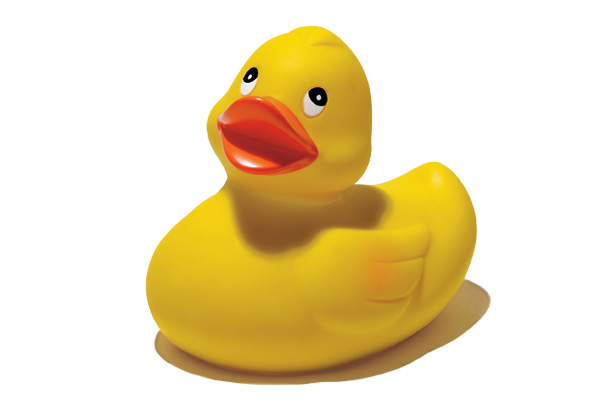 13duck-articleLarge-v2.jpg
