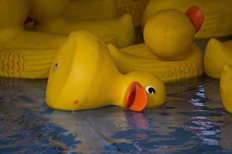 Dead-rubber-duck.jpg