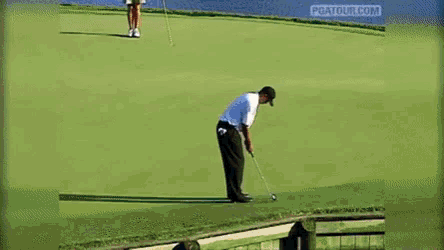 better-than-tiger-woods-1582164826.gif