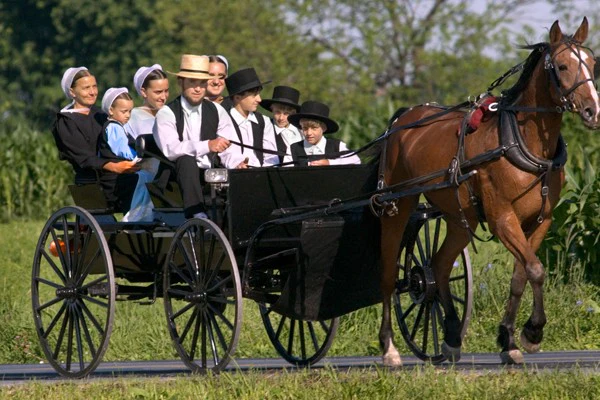 amish-97466b24-3ed3-4f4d-9c49-668c2cae5521.jpg
