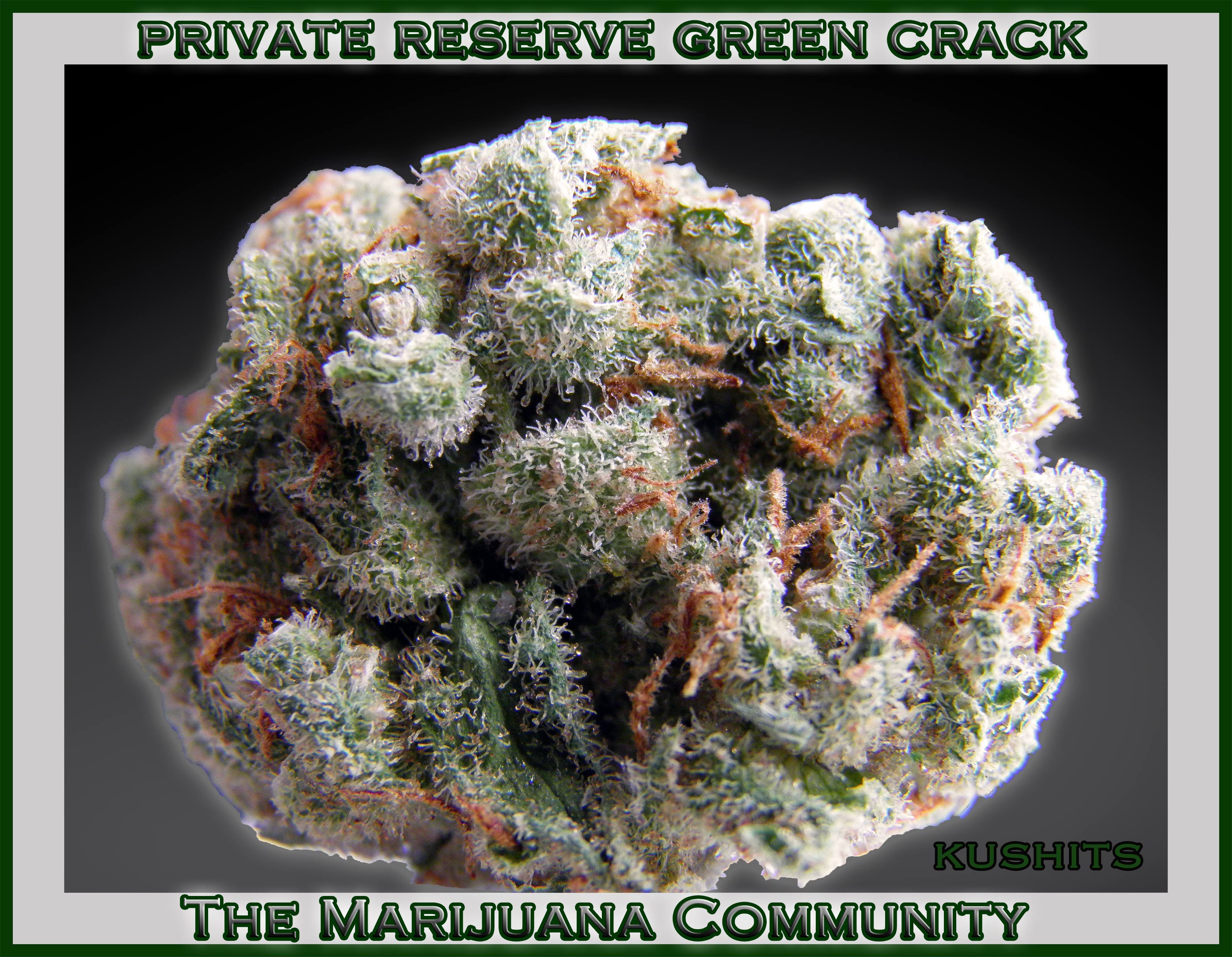 green-crack-3-6-11-icoc-large.jpg