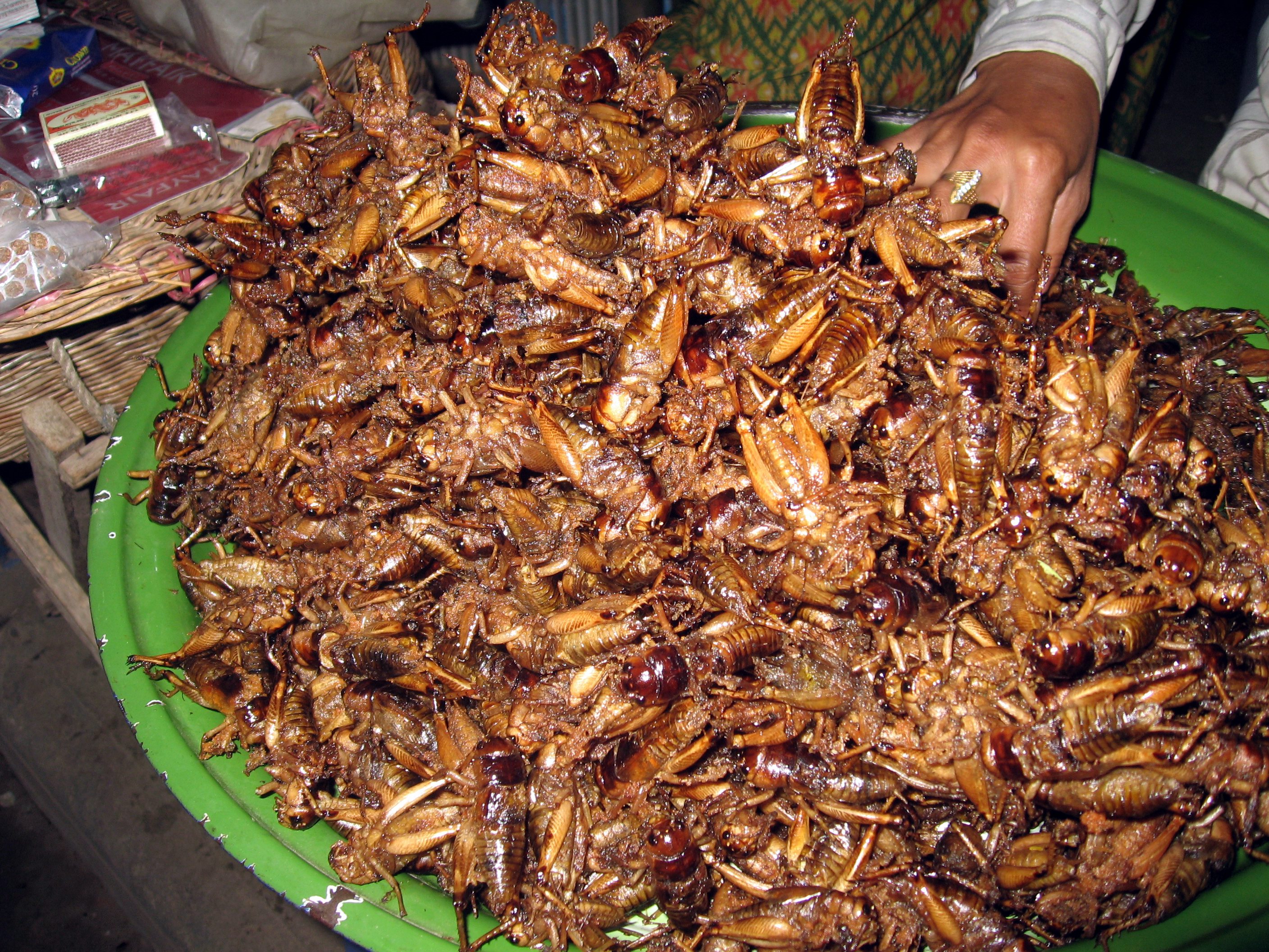 Fried_crickets_in_Cambodia.jpg