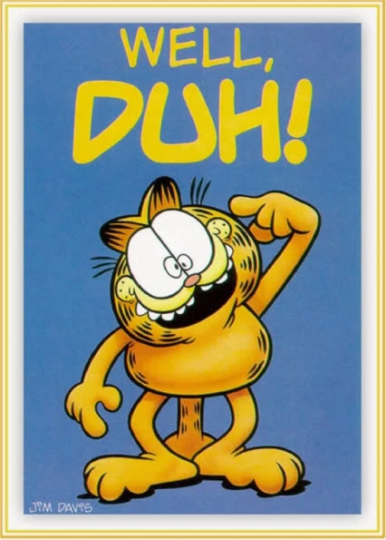 Garfield-well-duh.jpg