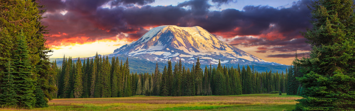 mount-adams-wa.jpg