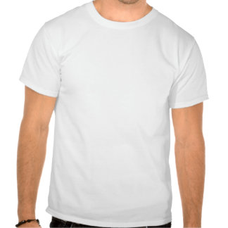 lemon_party_tshirt-r32af5165d384408ba47fdebbb020ed71_804gs_324.jpg