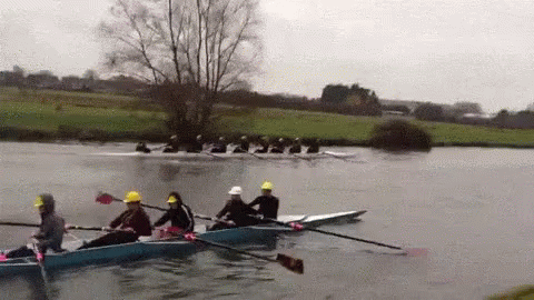 rowing-crab.gif