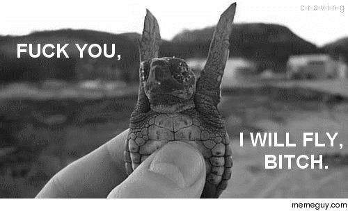 fuck-you-i-will-fly-23754.gif