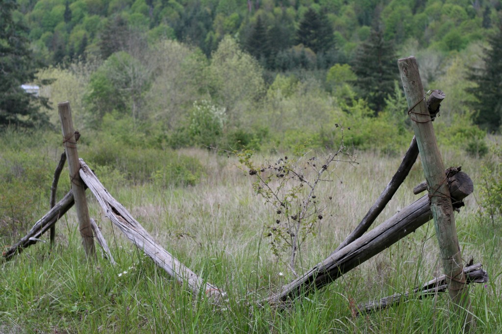 broken-fence-1024x682.jpg