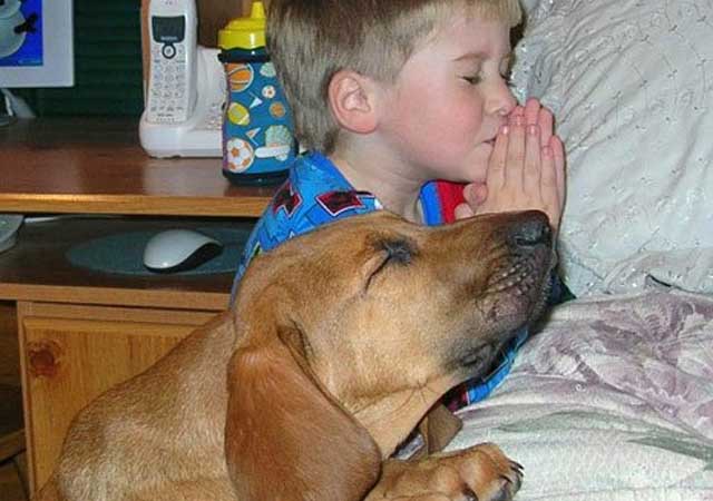 dog-praying-boy.jpg