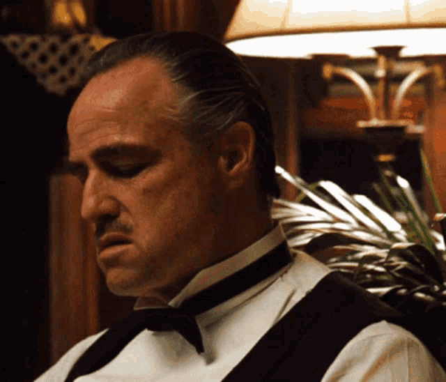 vito-corleone-don-vito-corleone.gif
