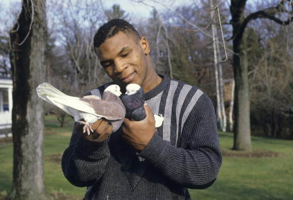 Mike-Tyson-364606.jpg