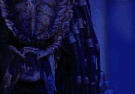 Predator-2.gif