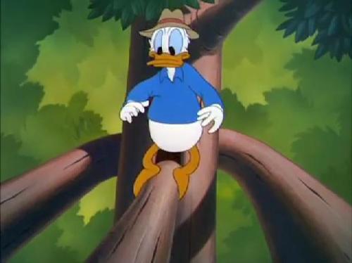 500px-donald_duck_-_out_on_a_limb_195024.jpg