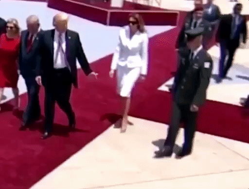 melania%20hand%20slap%201.gif