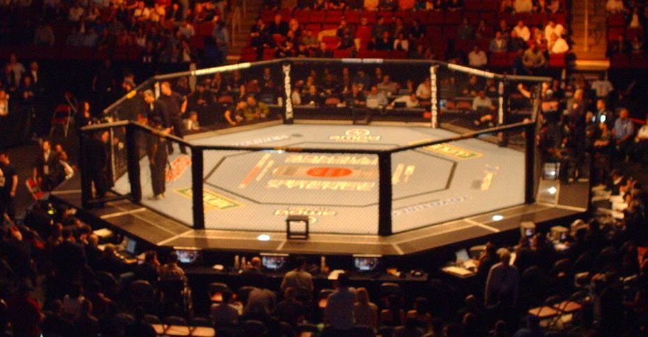 27-Octagon.jpg