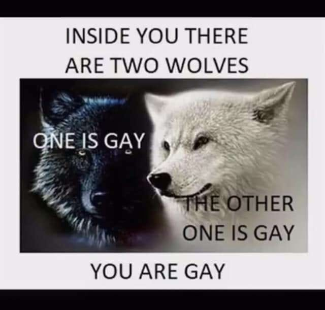 gay-wolves.jpg