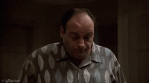 tony-soprano-whadya-gonna-do.gif