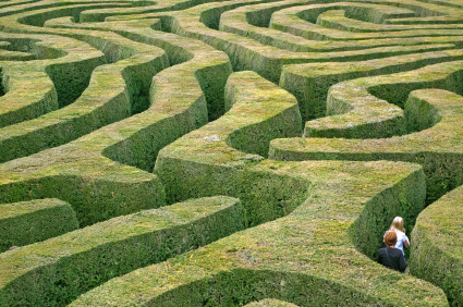 grass_maze1.jpg