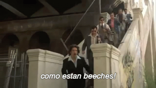 cmo-estan-beeches-bitches.gif