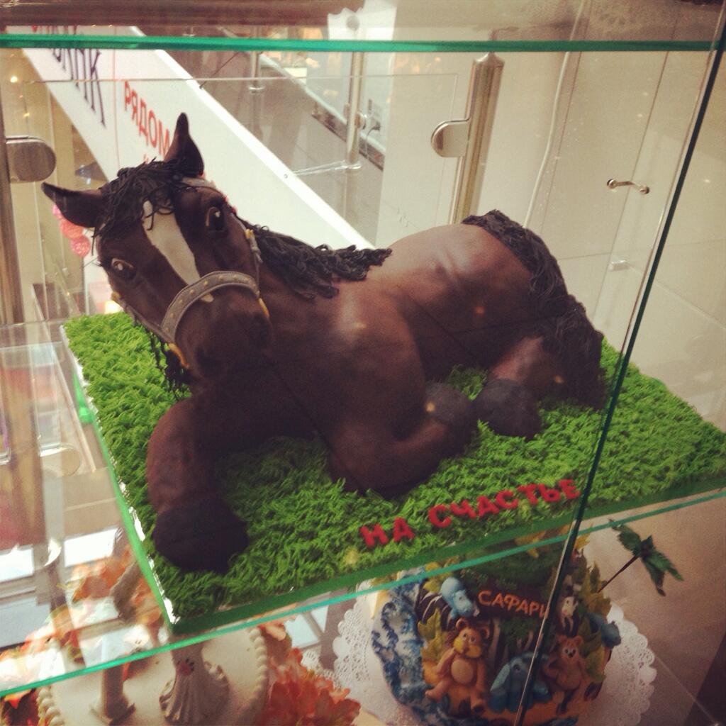 BZG9qpgIUAAv8xt.jpg:large