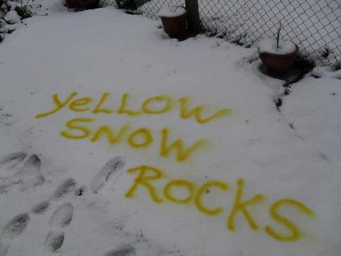 art-yellow-snow.jpg