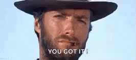 you-got-it-agree-cowboy-7c2xtmdej2x5jazw.gif