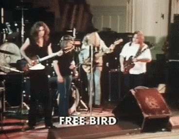 freebird-lynyrd-skynyrd.gif