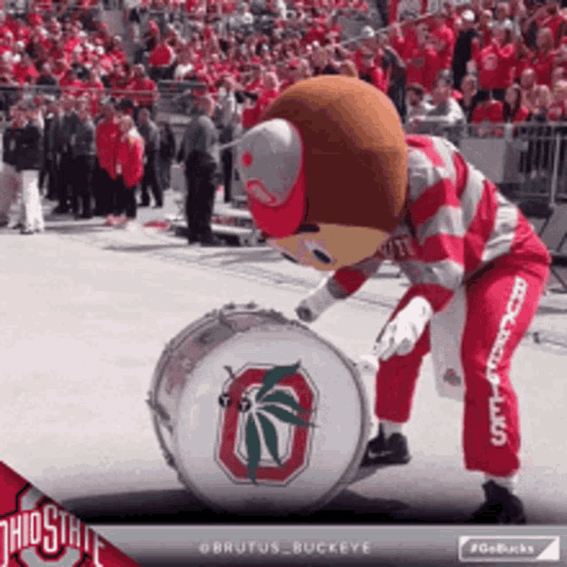 gobucks-buckeyes.gif