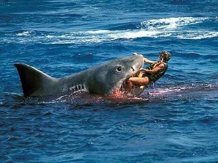 jaws-attacks.jpg