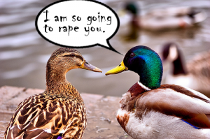 i-am-so-going-to-rape-you-300x199.png
